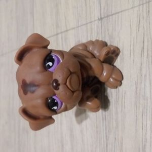 Littlest Pet Shop bulldog #881